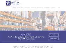Tablet Screenshot of ostsinc.com
